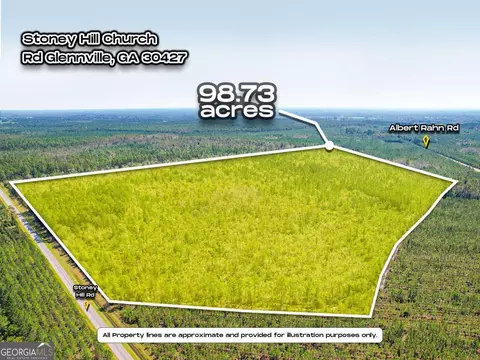 0 Stoney Hill Church Rd, Glennville, GA 30427