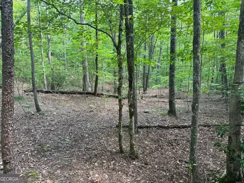 Undisclosed, Young Harris, GA 30582