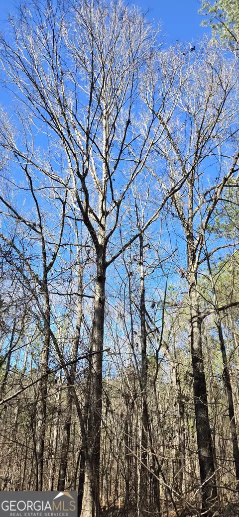 0 5 Points Rd, Gray, GA 31032 photo 21