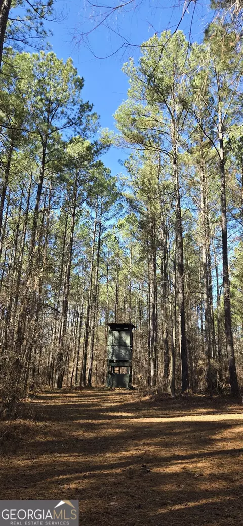 0 5 Points Rd, Gray, GA 31032 photo 31