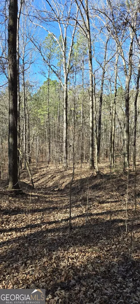 0 5 Points Rd, Gray, GA 31032 photo 23