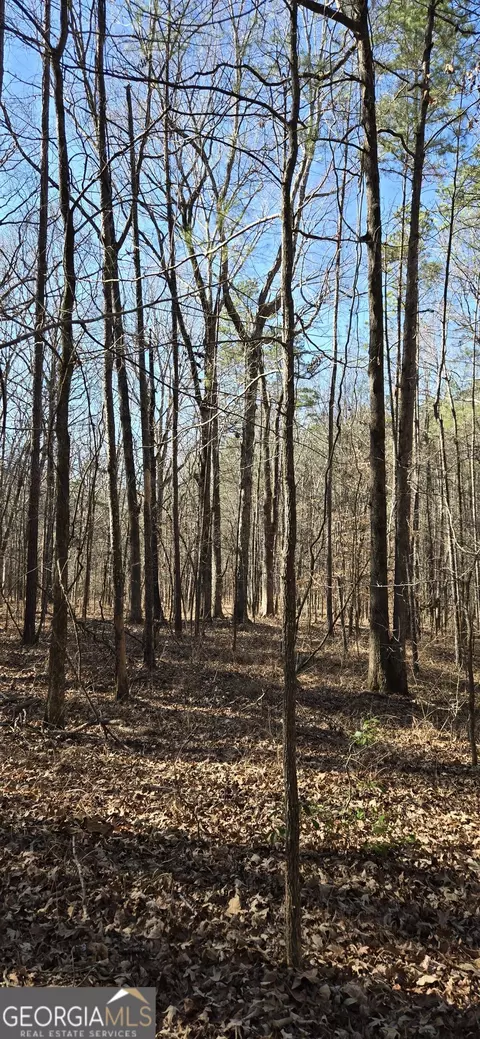 0 5 Points Rd, Gray, GA 31032 photo 22