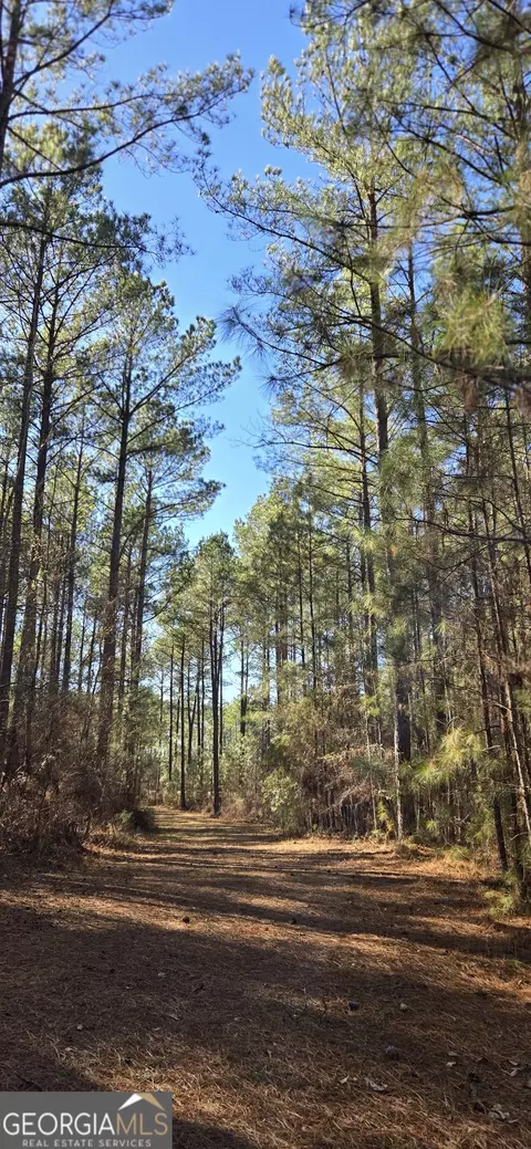 0 5 Points Rd, Gray, GA 31032 photo 32