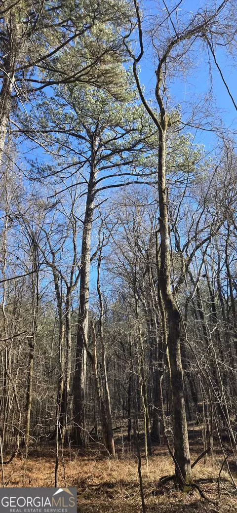 0 5 Points Rd, Gray, GA 31032 photo 29