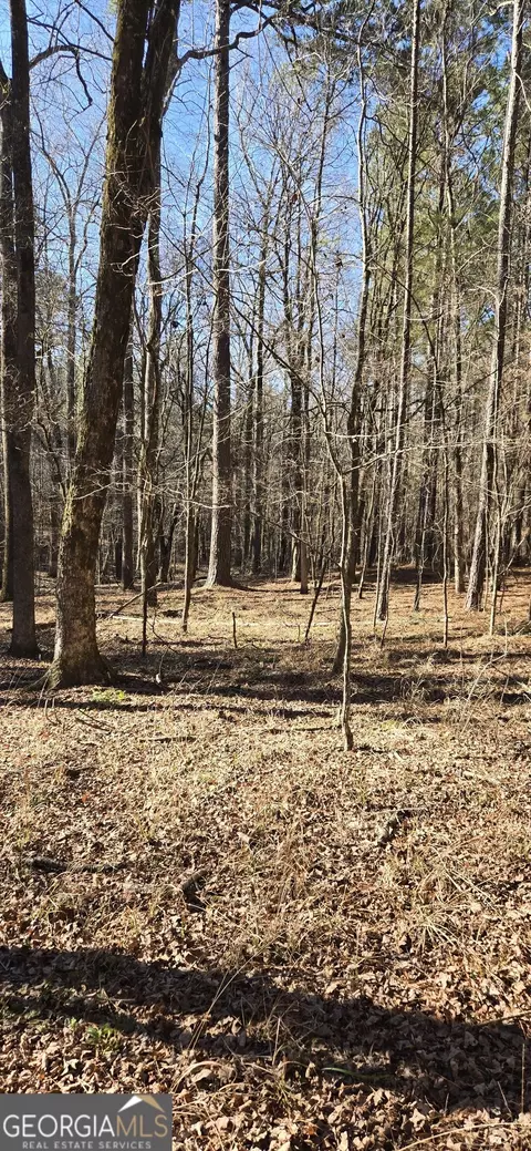 0 5 Points Rd, Gray, GA 31032 photo 28