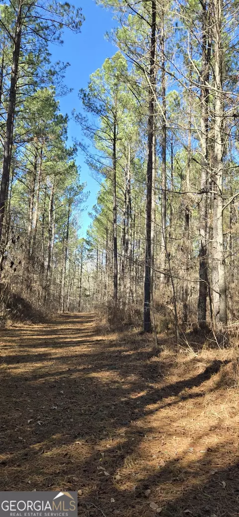 0 5 Points Rd, Gray, GA 31032 photo 20