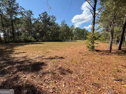 Other - 2470 Kitchen Rd, Dexter, GA 31019 photo 7 of 10