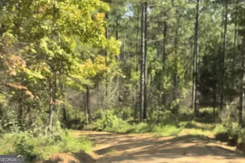 0 County Road 831 #TRACT 1, Wadley, AL 36276