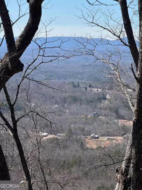 7349 Starlight Ln, Big Canoe, GA 30143