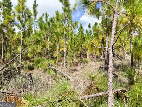 100 Doc Hunter Rd, Baxley, GA 31513 photo 8