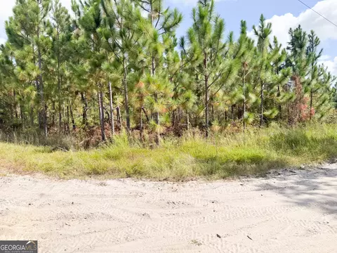 100 Doc Hunter Rd, Baxley, GA 31513 photo 4