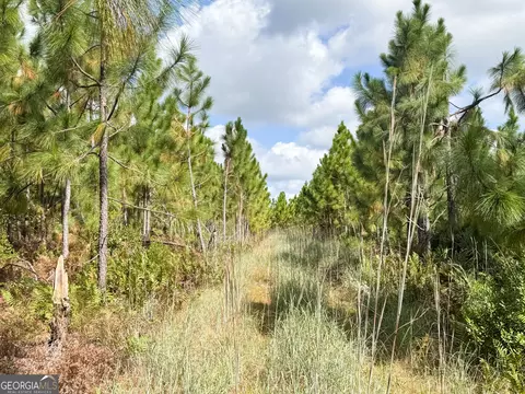 100 Doc Hunter Rd, Baxley, GA 31513 photo 6
