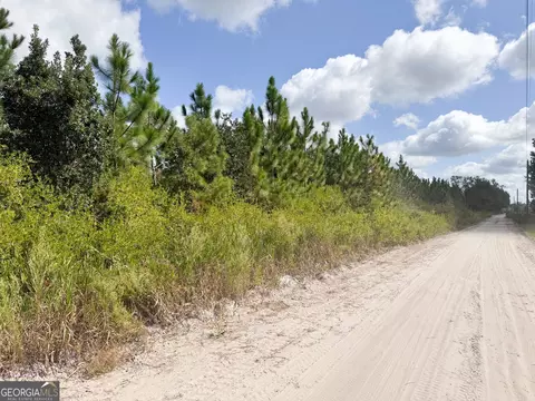 100 Doc Hunter Rd, Baxley, GA 31513 photo 3