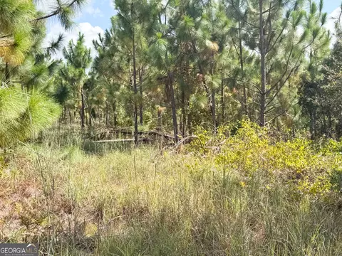 100 Doc Hunter Rd, Baxley, GA 31513 photo 5