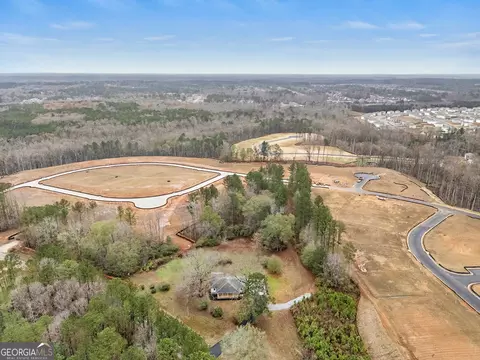 View/Area - 797 Babbs Mill Rd, Hampton, GA 30228 photo 1 of 4