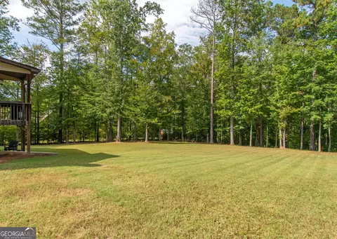 828 Smallwood Trce, Hampton, GA 30228 photo 47
