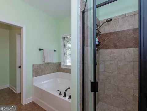 828 Smallwood Trce, Hampton, GA 30228 photo 27
