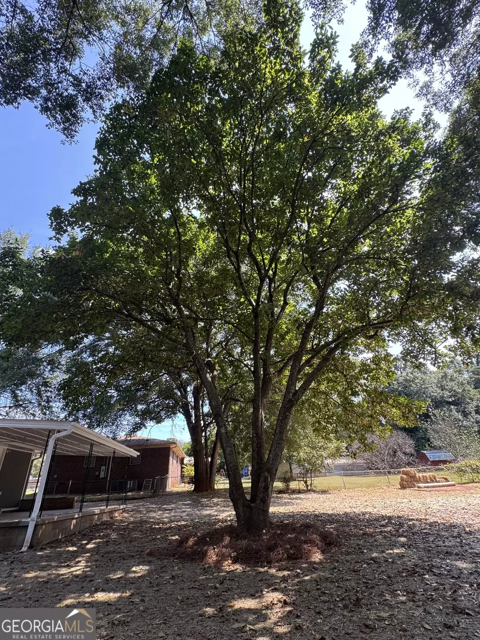 Exterior - 215 Denham St, Thomaston, GA 30286 photo 4 of 10
