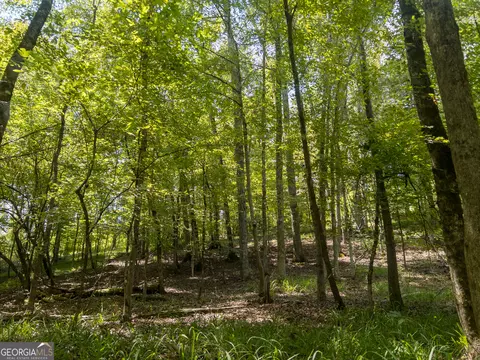 0 Mckay Rd, Gray, GA 31032 photo 16