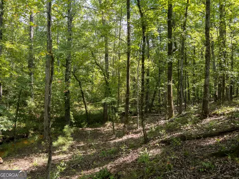 0 Mckay Rd, Gray, GA 31032 photo 17