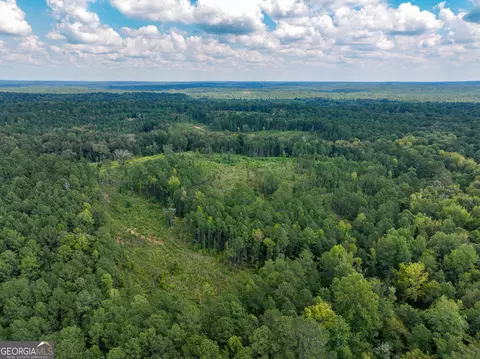 0 Mckay Rd, Gray, GA 31032 photo 19