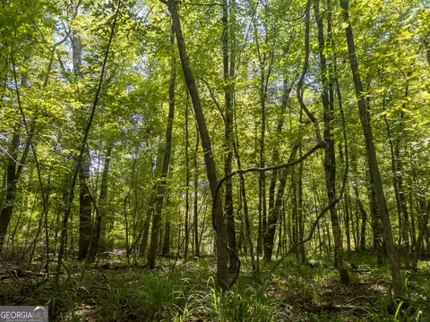 0 Mckay Rd, Gray, GA 31032 photo 22