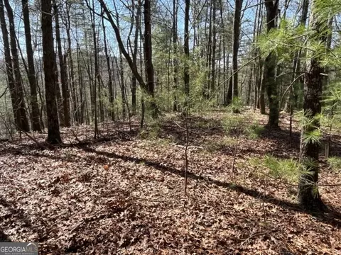 Lt 24 Pickett Mill Lane, Ellijay, GA 30540