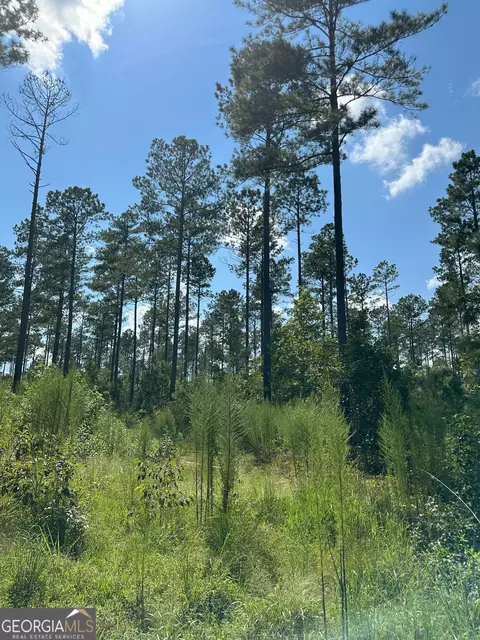 2470 Fears Rd, Madison, GA 30650