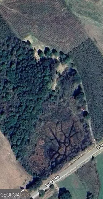 0 Lowe Rd, Comer, GA 30629 photo 7