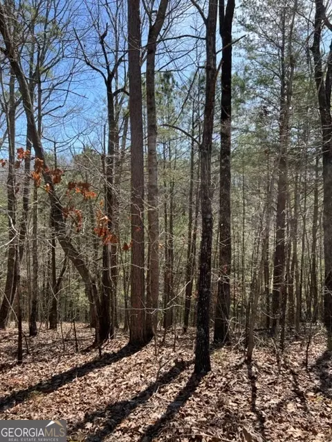 lot4 Hunter Rdg, Ellijay, GA 30540