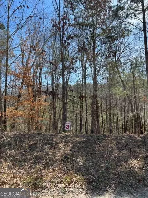 3 Hunter Ridge, Ellijay, GA 30540