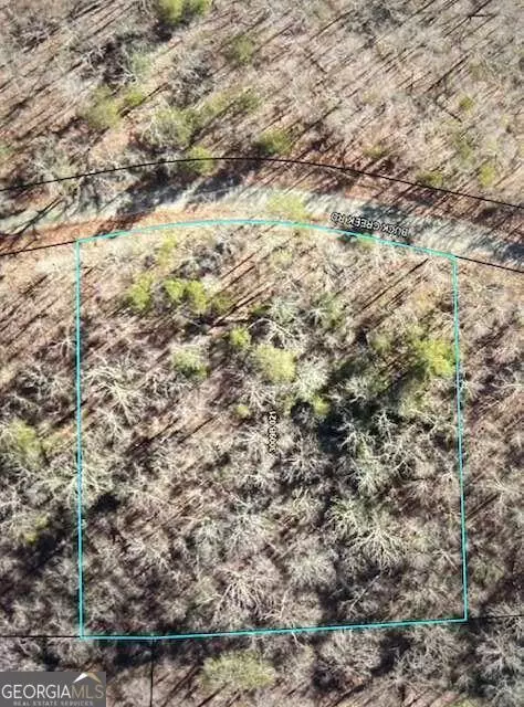 Lt 32 Buck Creek Road, Ellijay, GA 30540