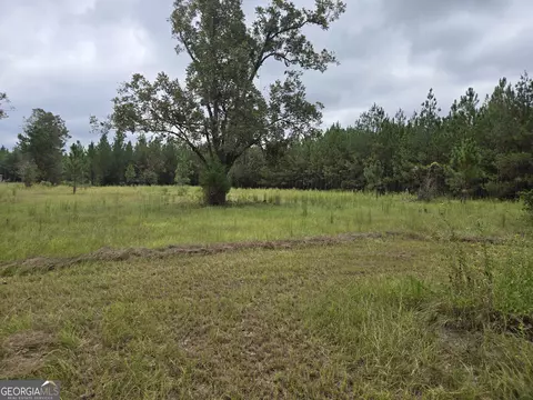 400 Alton Lawson Rd, Adrian, GA 31002