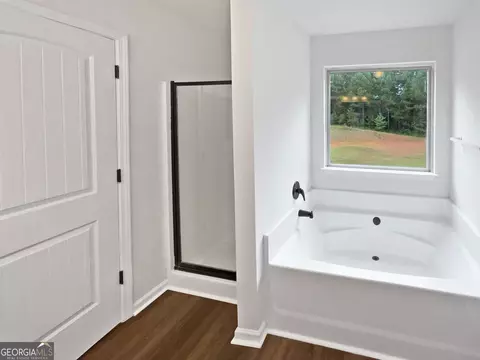 Bath - 230 Oak Meadows Pl, Covington, GA 30016 photo 3 of 3