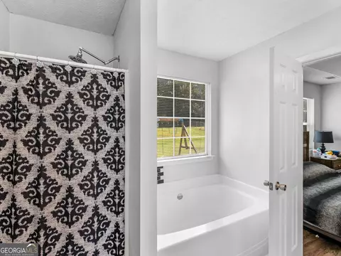 Bath - 1740 Graystone Dr, Hampton, GA 30228 photo 4 of 4