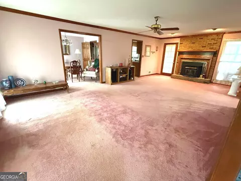 Living - 291 Morgan Mill Rd, Brooks, GA 30205 photo 2 of 3