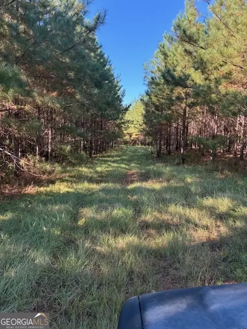 117 Moran Springs Rd, Milledgeville, GA 31061
