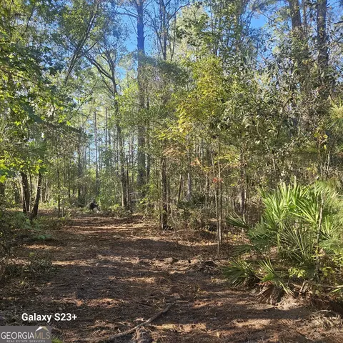 0 Highway 67, Pembroke, GA 31321