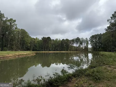 585 Deer Trl, Box Springs, GA 31801