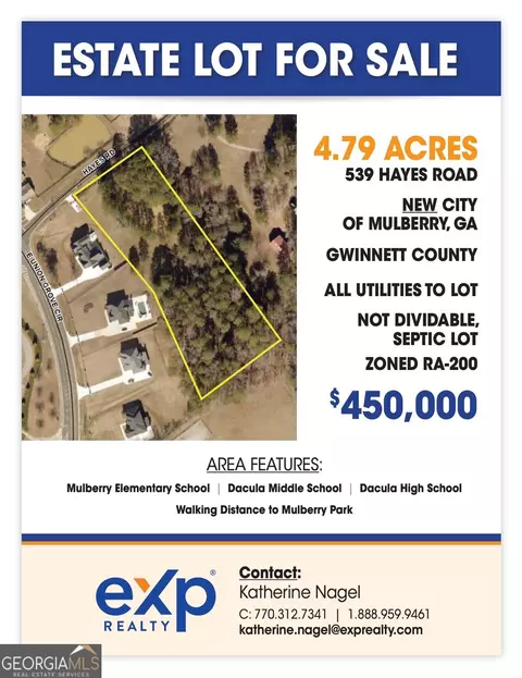 539 Hayes Rd, Auburn, GA 30011