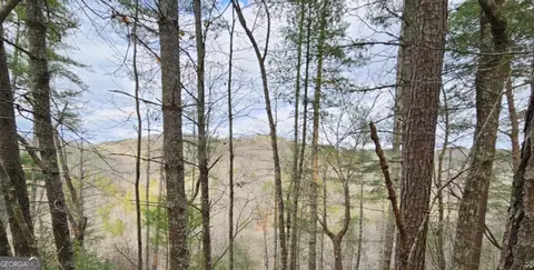 1744 Meadow Ln, Talking Rock, GA 30175
