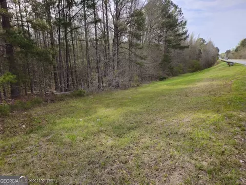 Tract 2 Us Highway 341 N, Musella, GA 31066