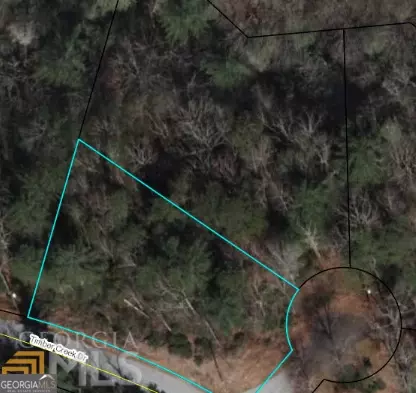 0 Timber Creek Dr, Clayton, GA 30525