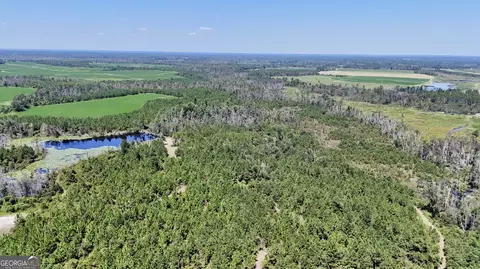 Tract 2 Rhonda Coleman Road, Hazlehurst, GA 31539
