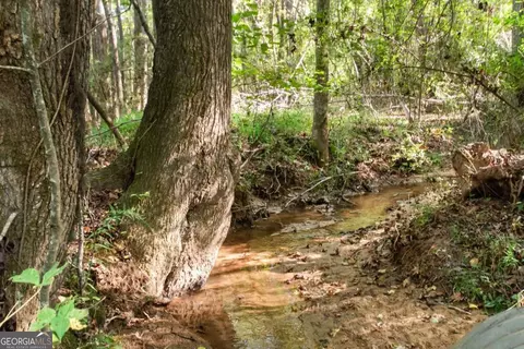 Other - 347 Finney Rd, Pine Mountain, GA 31822 photo 4 of 31