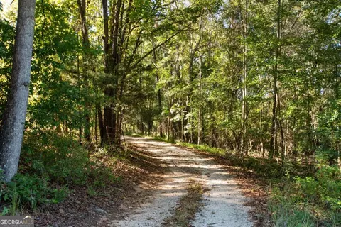 Other - 347 Finney Rd, Pine Mountain, GA 31822 photo 29 of 31