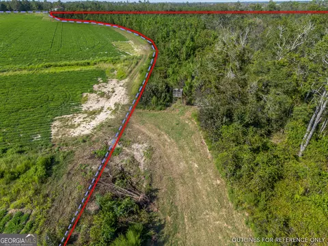 Tract 3 Rhonda Coleman Road, Hazlehurst, GA 31539