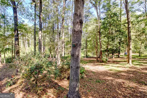 Exterior - 175 Grace Ln, Tyrone, GA 30290 photo 25 of 27