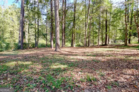 Exterior - 175 Grace Ln, Tyrone, GA 30290 photo 26 of 27