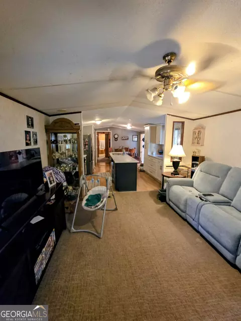 Other - 75 Skyline Dr, Hampton, GA 30228 photo 2 of 7